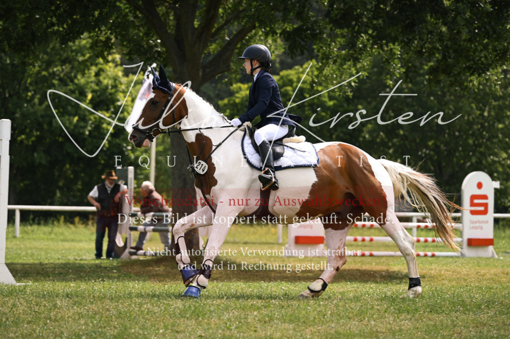 DSC_9070 | Pferde- und Turnierfotografie in Westsachsen. Pferdeportraits, Auftragszeichnungen und intuitive Kunst.