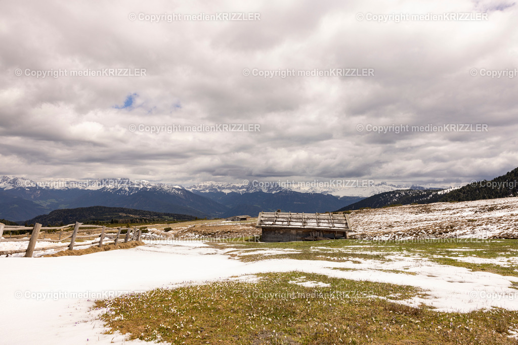 _J3A0845 | medienkrizzler - Realisiert mit Pictrs.com