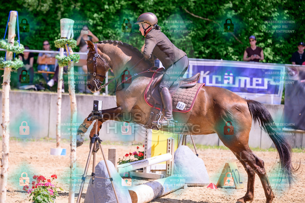 03052026-Giesenbach-05-Stiltrail-0458 | Fokus Hufschlag Fotografie - Realisiert mit Pictrs.com