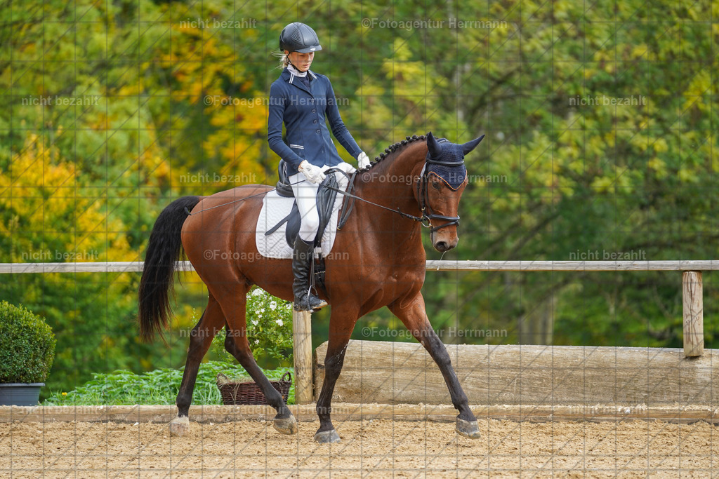 20221007-FAH09871 | Diessen am Ammersee, 2022, Dressur- und Springturnier, Reitsportbilder, Turnierfotografen Bayern, Pferdefotografen, Fotoagentur Herrmann, Turnierbilder