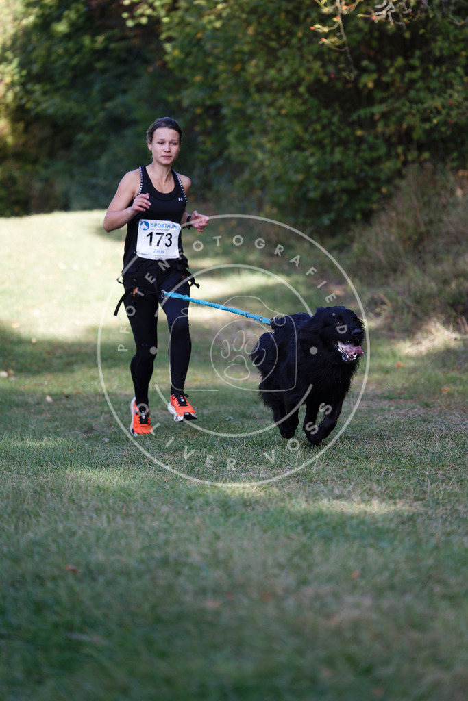 0L8A5456 | Hundefotografie, Tierfotograf, Pfotenfotografie, Fotoshooting Hund, Hunde Portrait, Hundesport, Hundeportraits, Heideshooting, Hunde, Sportfotograf, Hundefotograf, Turnierhundsport, THS,  - Realisiert mit Pictrs.com