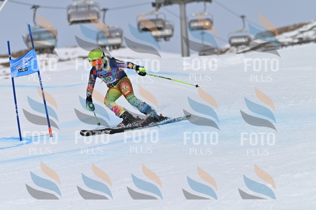 BGV_3836 | holidayphoto