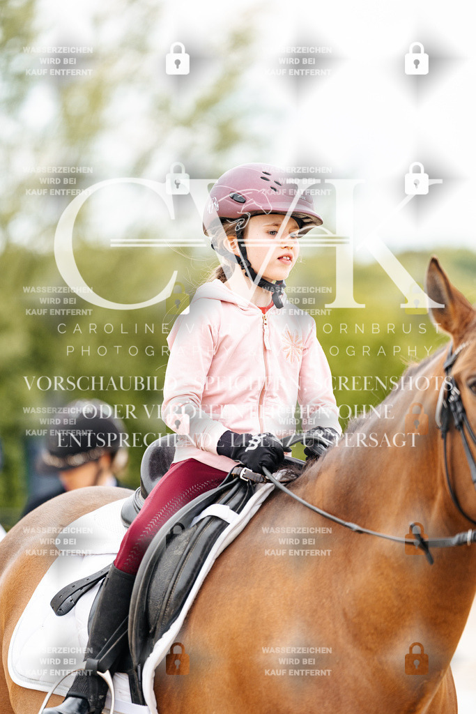 CK903645 | Turnierfotografie Pferdefotografie Trier Rheinland-Pfalz Pferdesport Reitsport Tierfotografie Sportfotografie Pferdevideo Pferdevideografie Equestrianvideography equestrianphotography  - Realisiert mit Pictrs.com