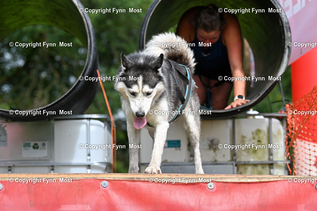 DSC_3003 | Hallo und herzlich Willkommen auf meiner Shop-Seite Fynn Most.

Ich wünsche Dir viel Spaß beim stöbern durch die Bilder, wenn Du Fragen hast oder Bilder vermisst, kannst du mir gerne eine Nachricht schreiben. - Realisiert mit Pictrs.com