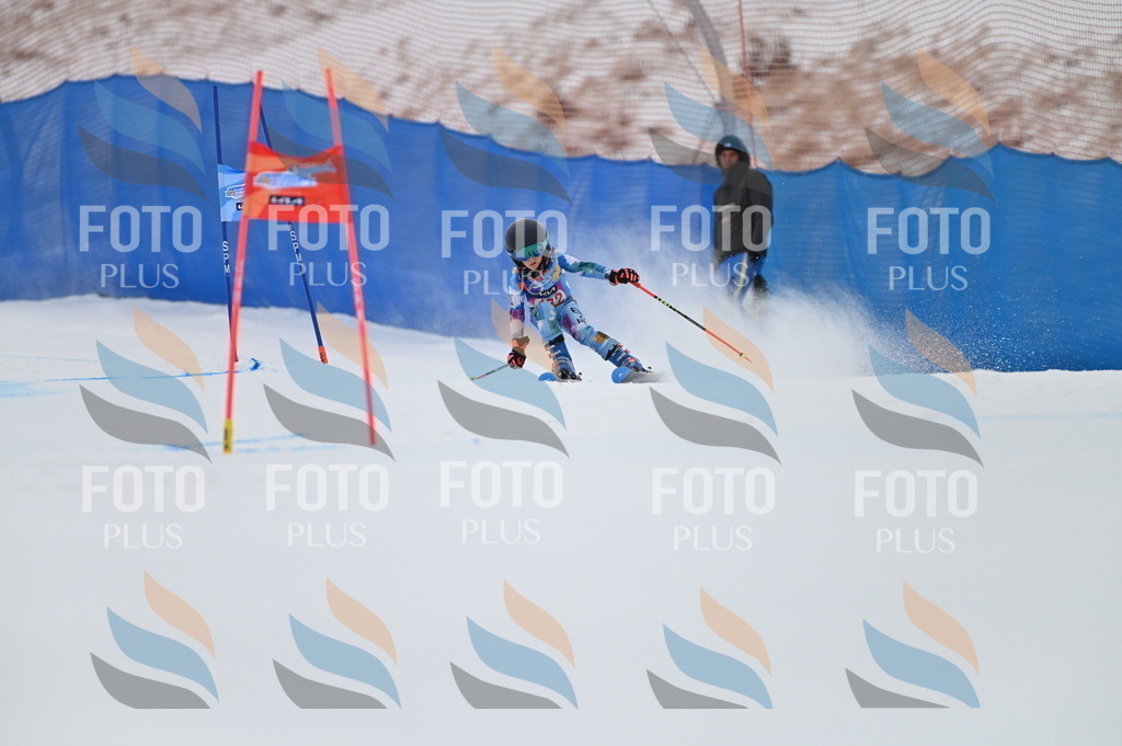 BGV_0651 | holidayphoto