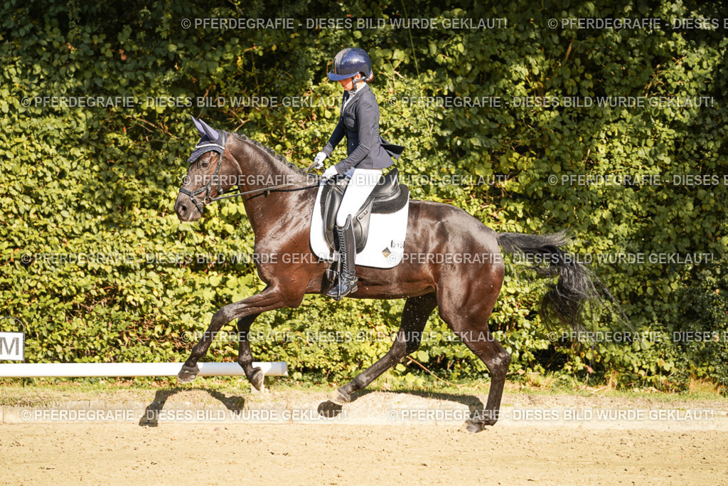 DSC06243 | Pferdegrafie