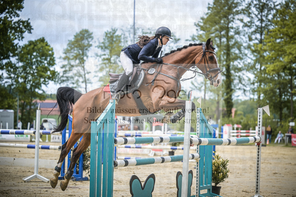 DOS_8453 | Entdecke hochwertige Reitturnierfotos von Foto Oger. Professionell, emotional und authentisch – jetzt Lieblingsmomente im Shop bestellen.Deutschlandweite Turnierfotografie. - Realisiert mit Pictrs.com