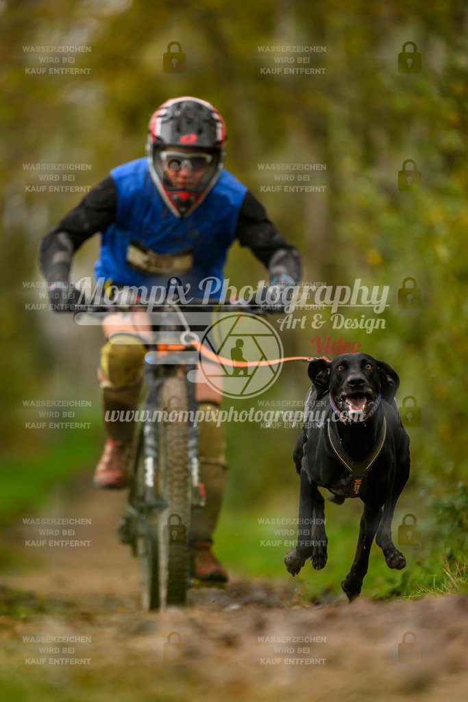 MompixPhotography_20TSB_E6_Bike-63 | PayLife