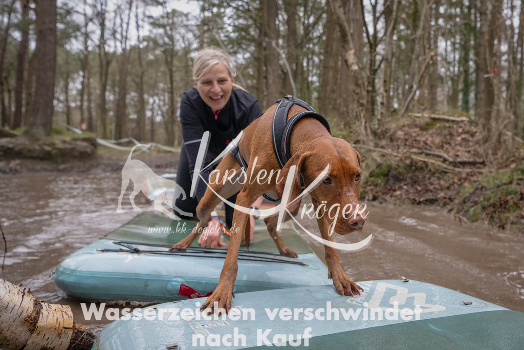 1145_ZZ94633-Bearbeitet | kk-dogfotos