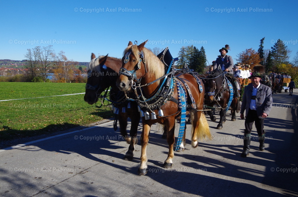 IMGP8222 | fotografiert von Axel PollmannLeonhardi Wallfahrt Benediktbeuern und Murnau, Fronleichnam, Fasching, Landschaft im Loisachtal und Benediktbeuern  - Realisiert mit Pictrs.com