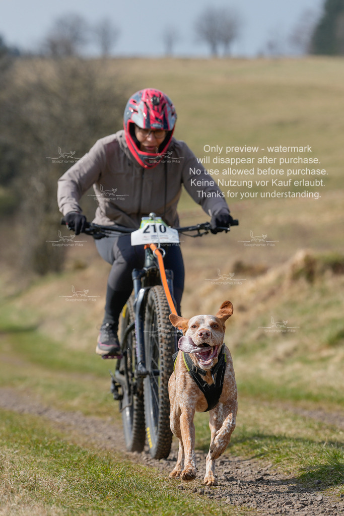 Bike_Lang-238 | stephaniefillaphotographie - Realisiert mit Pictrs.com