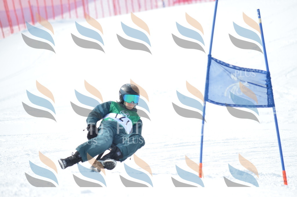 D9267 | holidayphoto