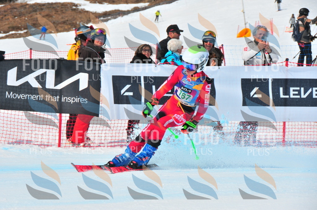 DSC_1505 | holidayphoto