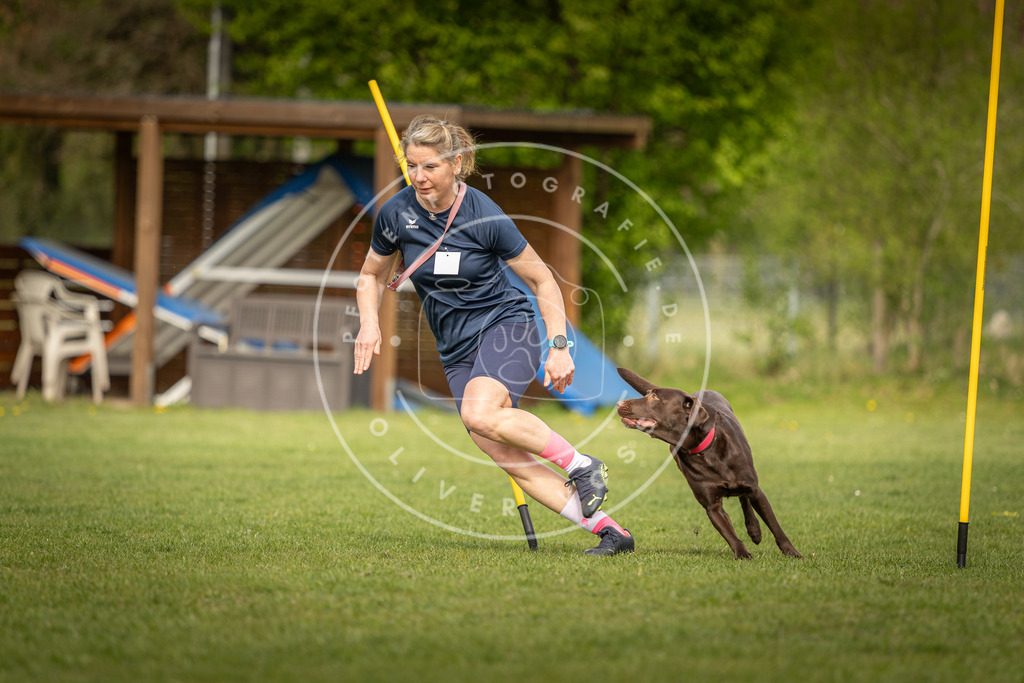 Pfotenfotografie_DV3A5319 | Hundefotografie, Tierfotograf, Pfotenfotografie, Fotoshooting Hund, Hunde Portrait, Hundesport, Hundeportraits, Heideshooting, Hunde, Sportfotograf, Hundefotograf, Turnierhundsport, THS,  - Realisiert mit Pictrs.com