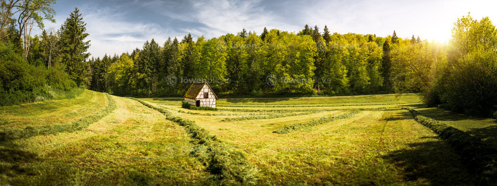 Vögelestal bei Geislingen-Türkheim | löwenblicke | shop