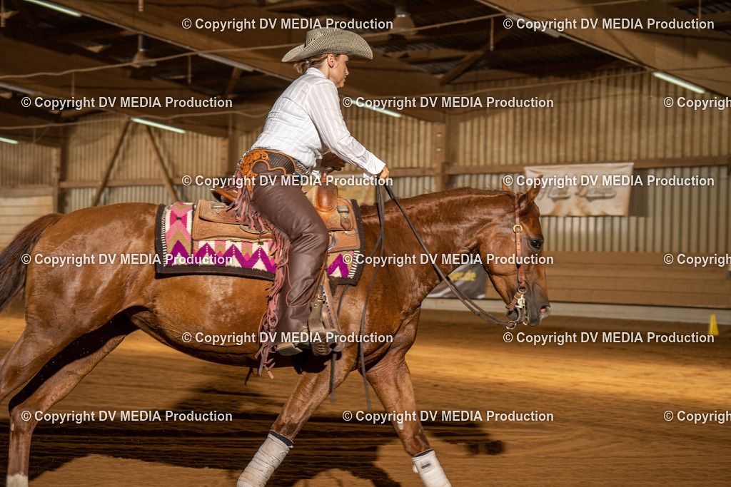 NID01953 | dv-media-shop - Realisiert mit Pictrs.com