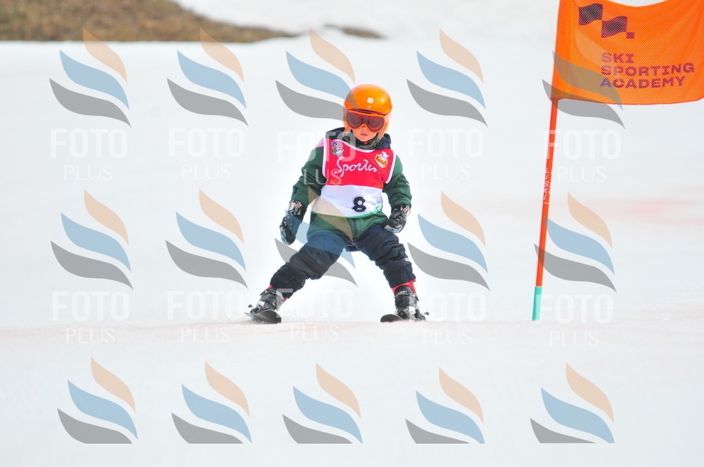 C0660 | holidayphoto