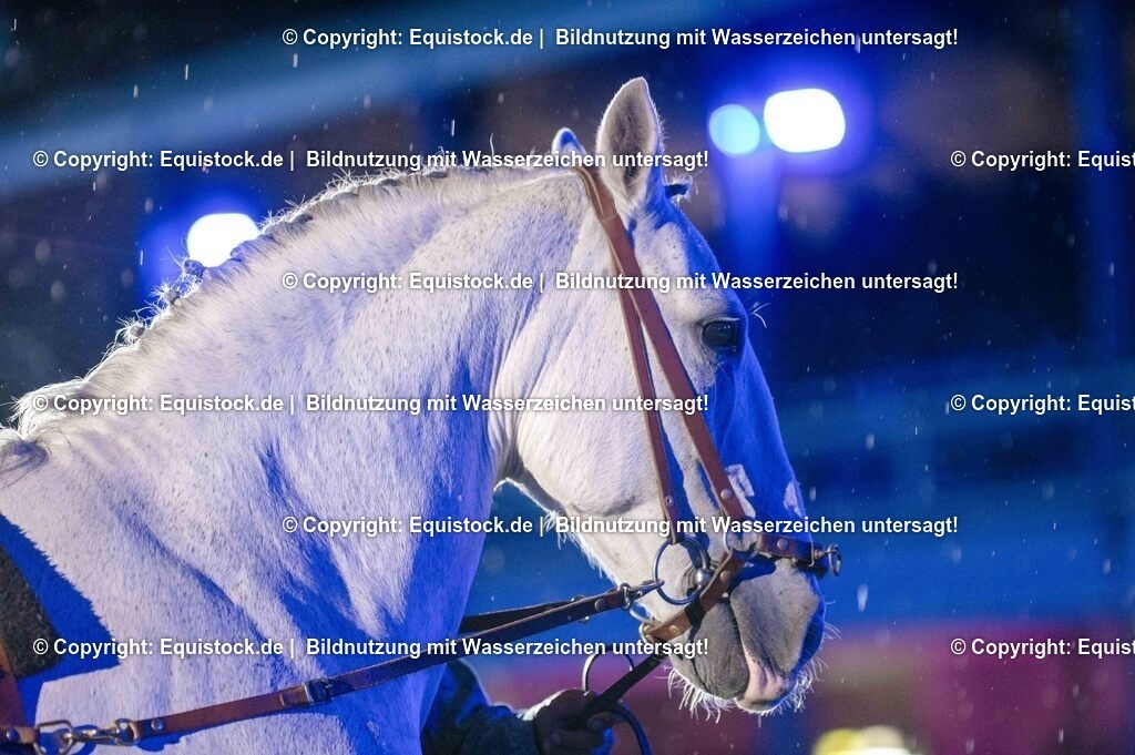 20250606_Lange-Pferdenacht_1110 | Foto: Thomas Hartig