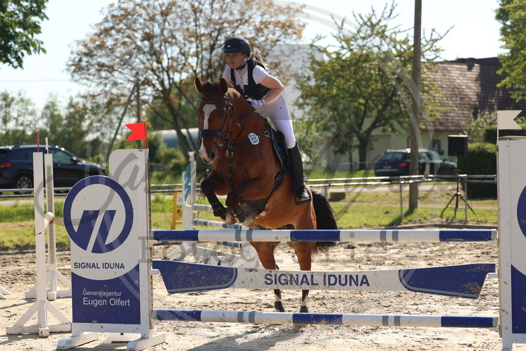 994A6169 | sabrinanicolaifotografie - Realisiert mit Pictrs.com