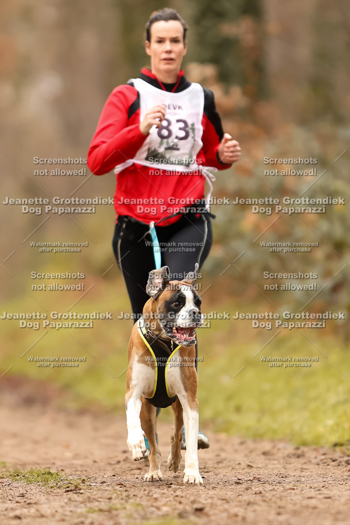Dog Paparazzi - Speedhunter Mannheim  2025-237 | Dog Paparazzi Jeanette Grottendiek Fotografie & Videografie