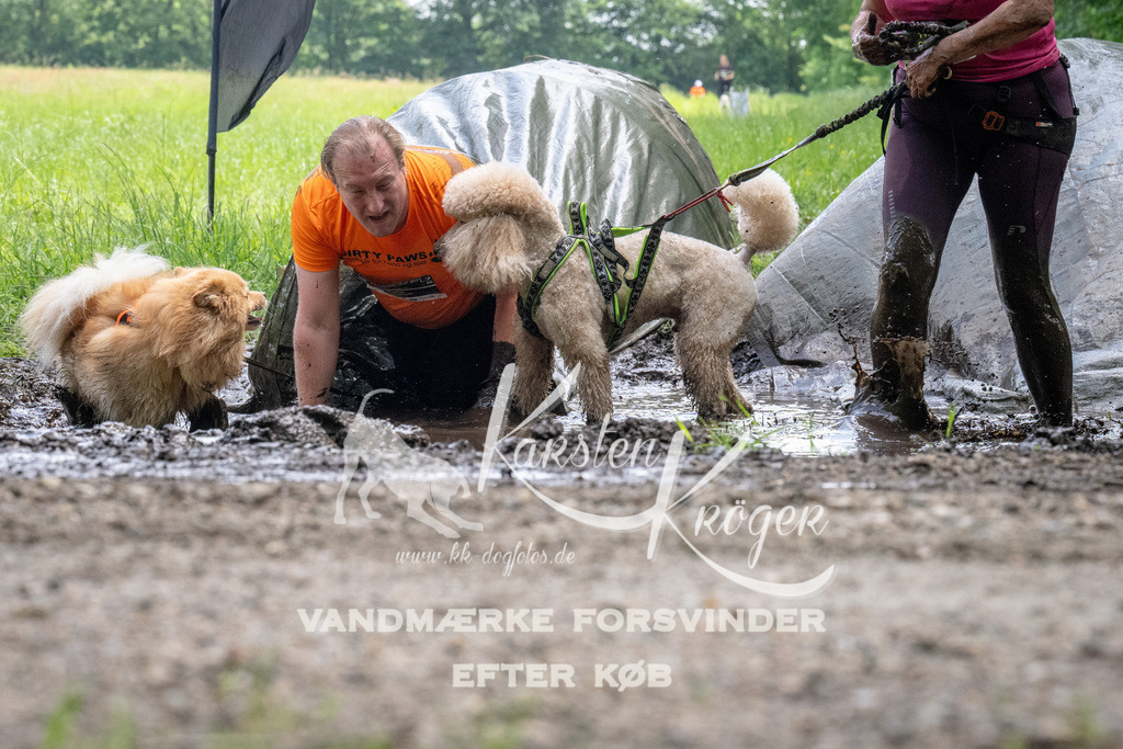 1143_ZZ94219 | kk-dogfotos