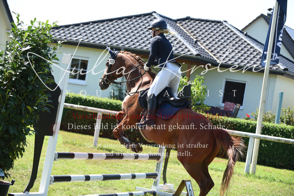 DSC_9294 | Pferde- und Turnierfotografie in Westsachsen. Pferdeportraits, Auftragszeichnungen und intuitive Kunst.