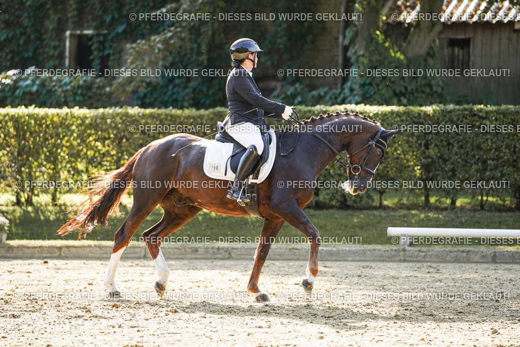 DSC06430 | Pferdegrafie