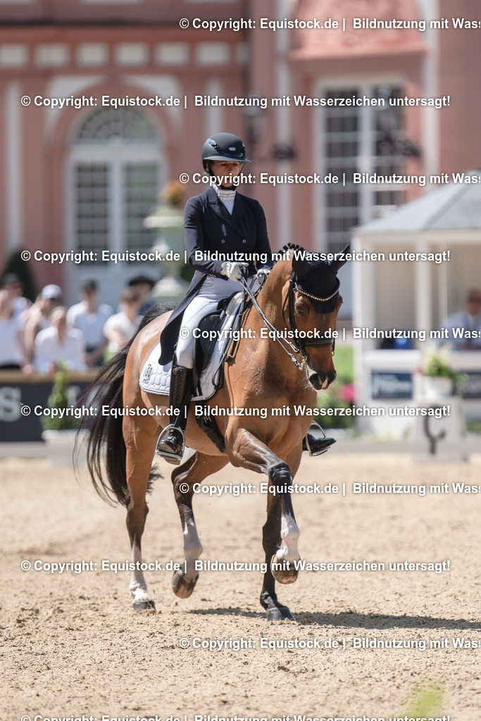 20230528_03_GP-Special-Tour_0127 | equistock