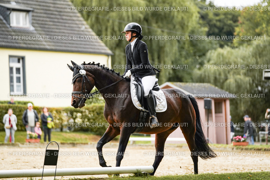 DSC07031 | Pferdegrafie