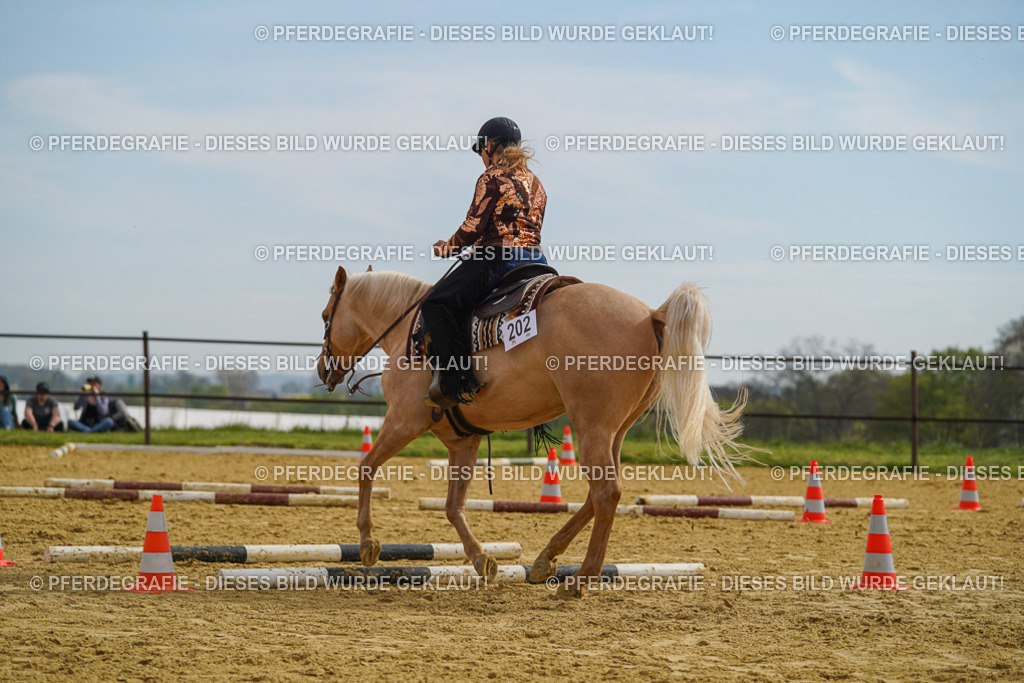 DSC02216 | Pferdegrafie