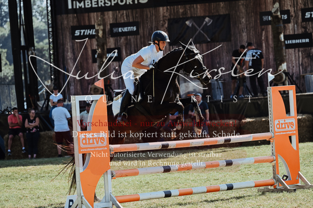 DSC_5685 | Pferde- und Turnierfotografie in Westsachsen. Pferdeportraits, Auftragszeichnungen und intuitive Kunst.