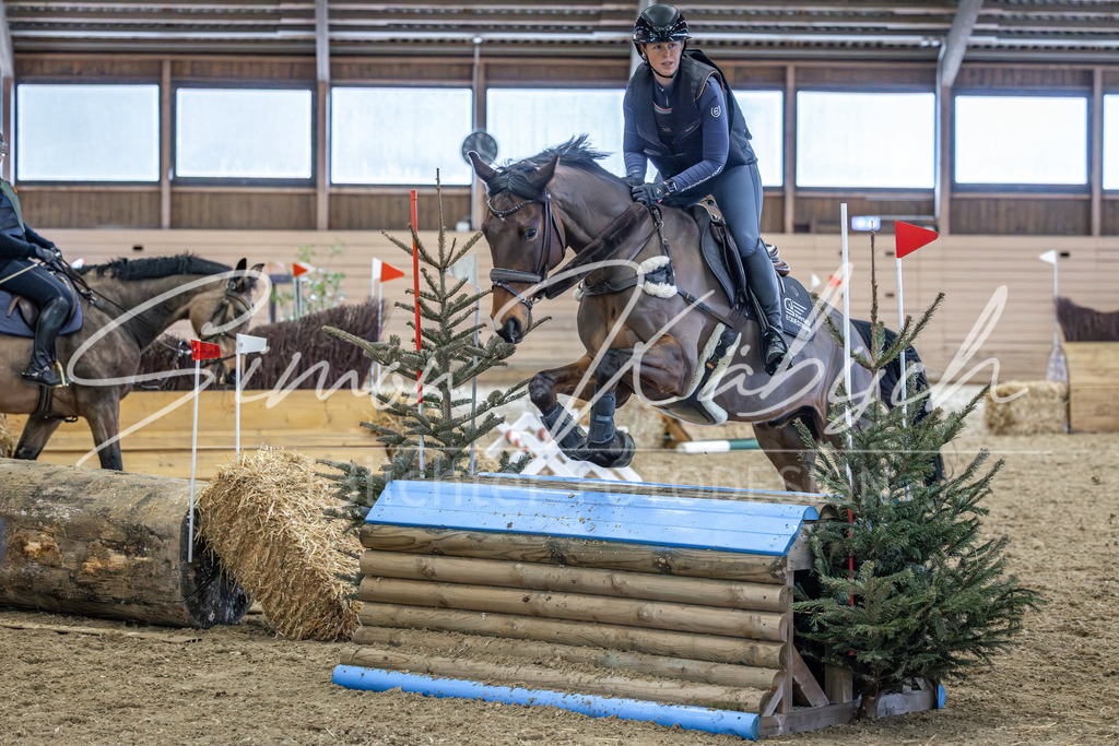 20260222-_3LI1918 | Tierfotografie Pferde, Hunde, Katzen, Haustiere.
Turnierfotografie Reitturniere, Reiten, Springreiten, Dressur in Hanau, dem Main-Kinzig-Kreis und dem Rhein-Main- Gebiet um Frankfurt