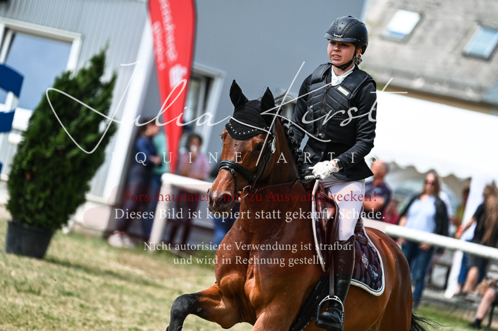 DSC_9484 | Pferde- und Turnierfotografie in Westsachsen. Pferdeportraits, Auftragszeichnungen und intuitive Kunst.