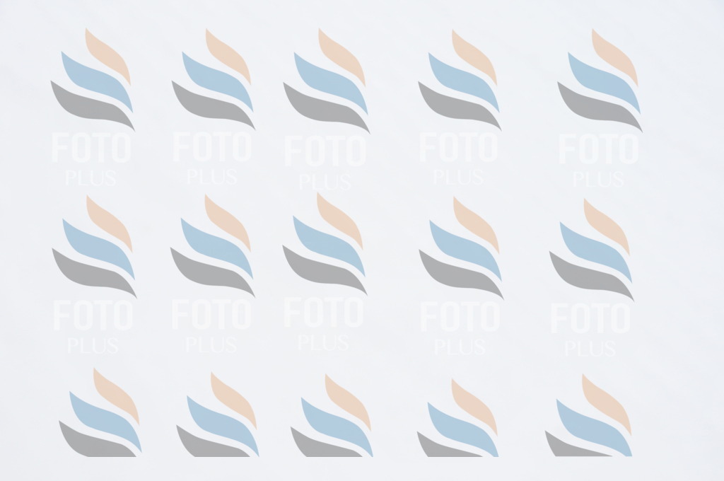 C1114 | holidayphoto