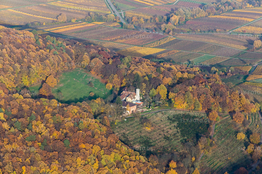 Luftbild: Museums- Gebäude- Ensemble Slevogthof in Leinsweiler im Bundesland Rheinland-Pfalz in Deutschland. Foto: IMG_085163.jpg vom 08.11.2015 durch Werner Riehm/FLY-FOTO.de