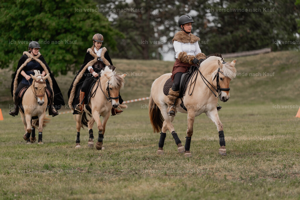 Showprogramm-333 | working equitationturnier fotograf videograf stoibphotography marixx film working equitation deutschland reitsport turnierfotografie eventfotografie equestrian events