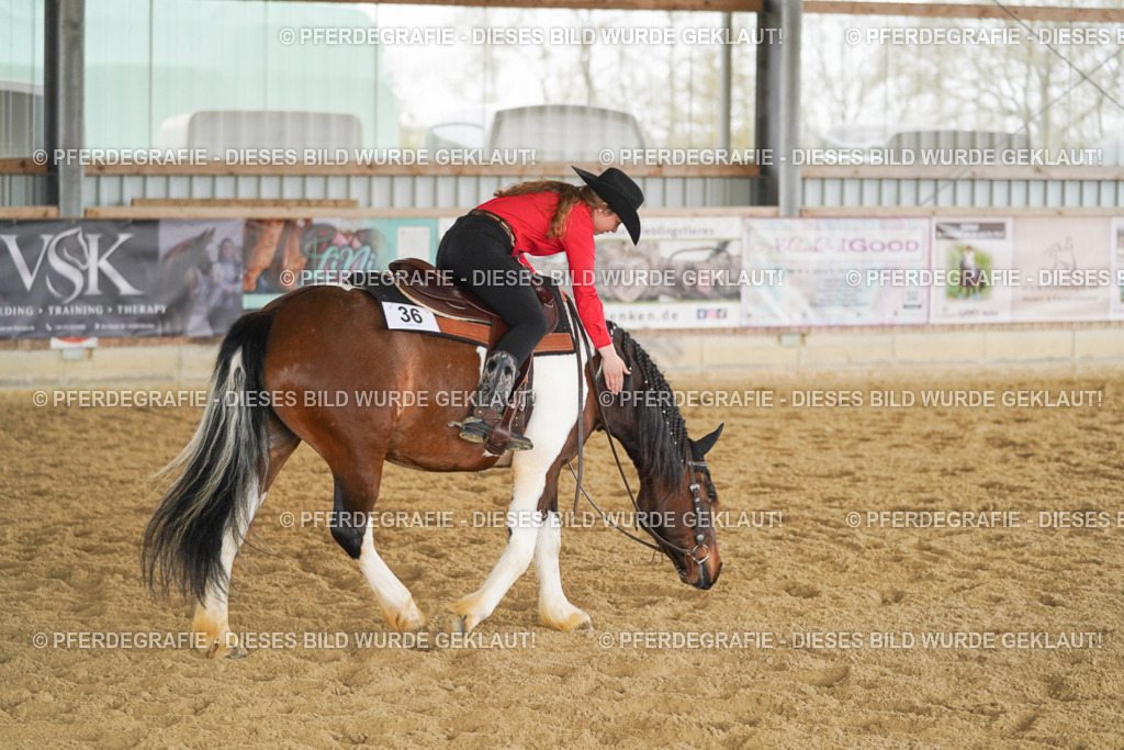 DSC04251 | Pferdegrafie