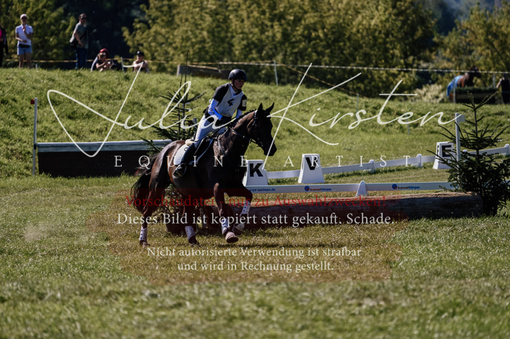 DSC_1449 | Pferde- und Turnierfotografie in Westsachsen. Pferdeportraits, Auftragszeichnungen und intuitive Kunst.