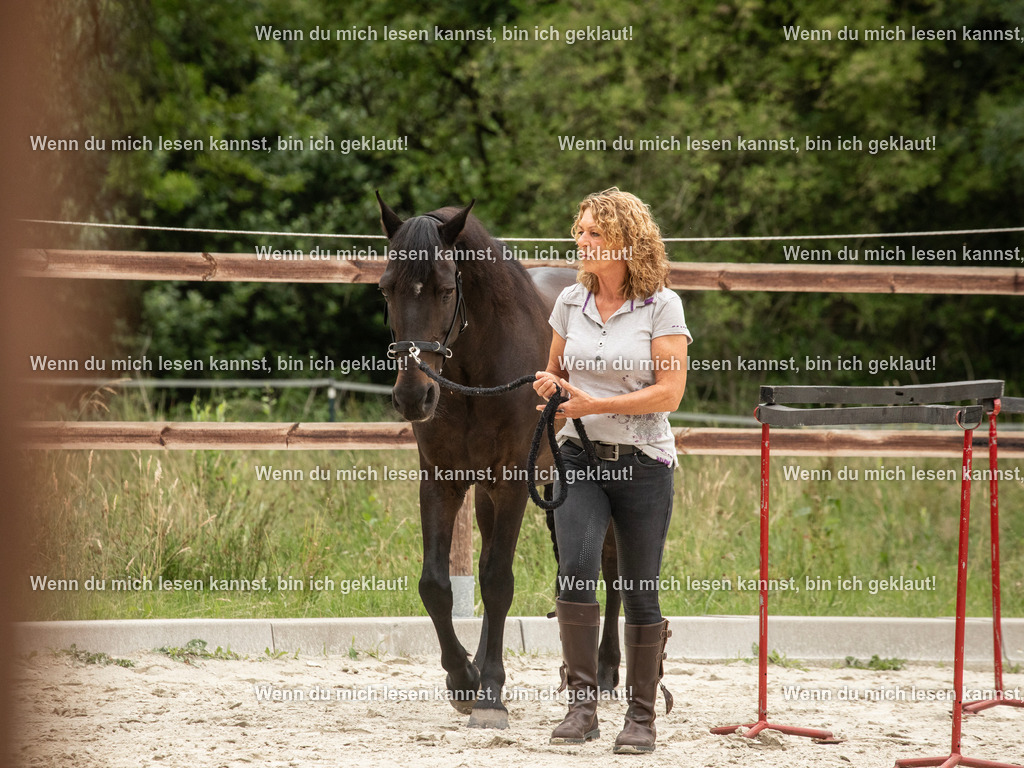 598A6207 | photographylinaismer - Realisiert mit Pictrs.com