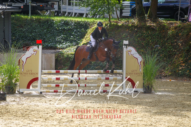 DKP40323 | Turniersportfotografie; Pferdefotografie; Dressurfotografie