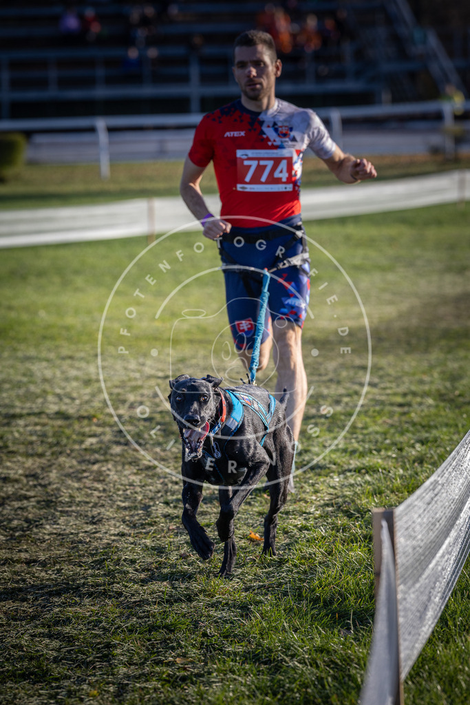 CaniXpix_DV3A2713 | Hundefotografie, Tierfotograf, Pfotenfotografie, Fotoshooting Hund, Hunde Portrait, Hundesport, Hundeportraits, Heideshooting, Hunde, Sportfotograf, Hundefotograf, Turnierhundsport, THS,  - Realisiert mit Pictrs.com