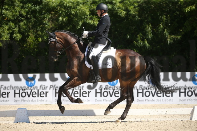 Weilheim_2022_Dressurpferde_Kl.M_Qualifikation_HKM_BCH_Timo Kemmerer_Barnaby 41 (8) | Alle Fotos der Reiterjournal Fotografin Doris Matthaes im Reiterjournal Online-Fotoshop. - Realisiert mit Pictrs.com
