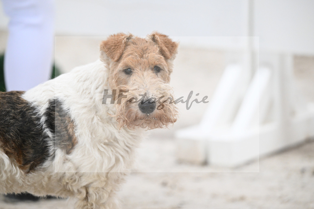 Impressionen_14260023 | hf-fotografie - Realizzato con Pictrs.com