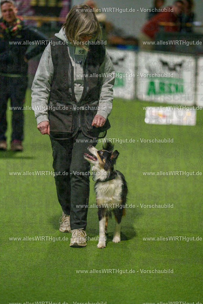 7R508983 | Professionelle Tierfotografie in Mönchengladbach von Daniel Wirth (allesWIRTHgut). Liebevolle & natürliche Bilder von Hunden & Katzen für unvergessliche Erinnerungen.