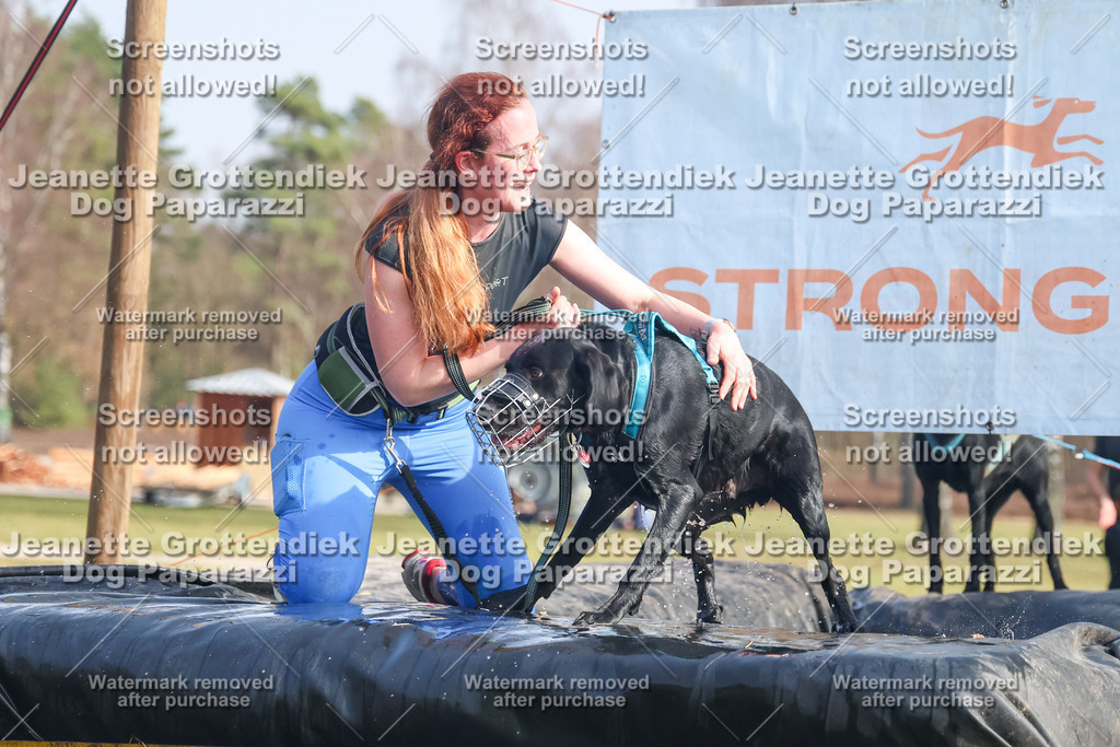 Dog Paparazzi - Strongdog North Mrz26-2177 | Dog Paparazzi Jeanette Grottendiek Fotografie & Videografie - Realisiert mit Pictrs.com