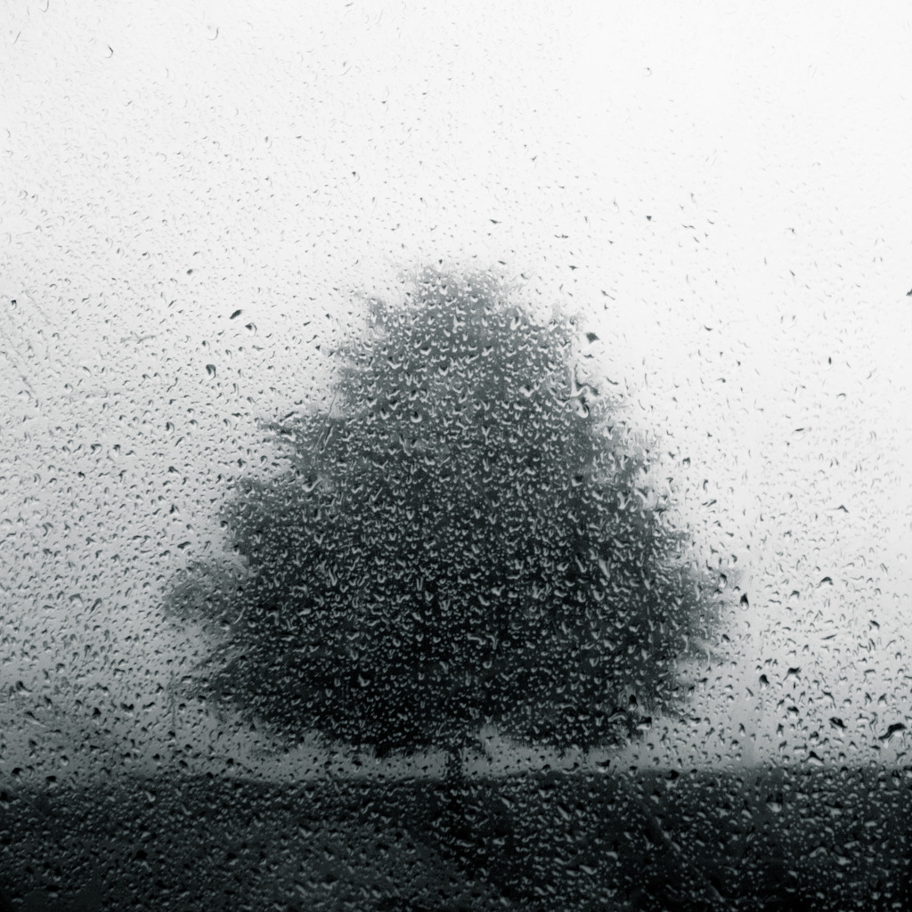 the beautiful sound of rain | in Karlshagen, Usedom.  - Realisiert mit Pictrs.com