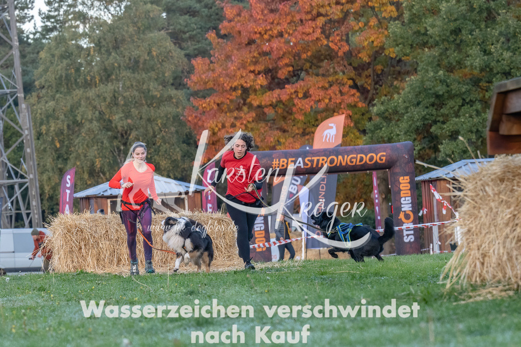 0835_ZZ90848-Bearbeitet | kk-dogfotos