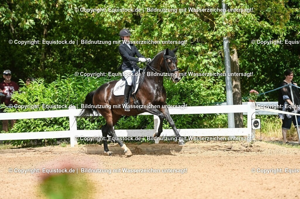 20230716_01_Dressurprüfung Kl.M_0066 | equistock