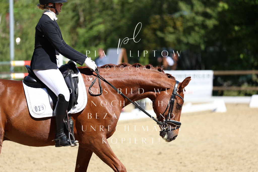 IMGS0743 | pl-fotografie