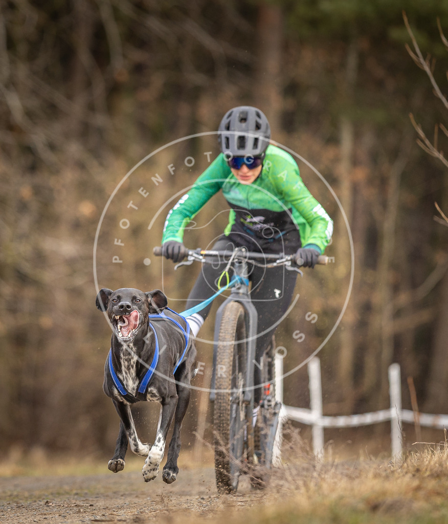 DV3A3400 | Hundefotografie, Tierfotograf, Pfotenfotografie, Fotoshooting Hund, Hunde Portrait, Hundesport, Hundeportraits, Heideshooting, Hunde, Sportfotograf, Hundefotograf, Turnierhundsport, THS,  - Realisiert mit Pictrs.com